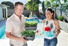 Escena de Desert Flippers