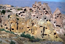 Escena de Destino Wild