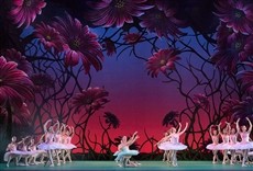 Escena de Don Quijote, con Marianela Nuñez y Carlos Acosta