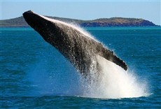 Escena de Donde nacen los gigantes