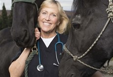 Serie Dra. Dee: veterinaria de Alaska
