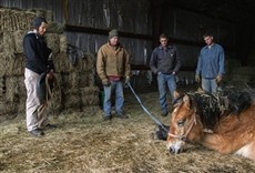 Escena de Dra. Dee: veterinaria de Alaska