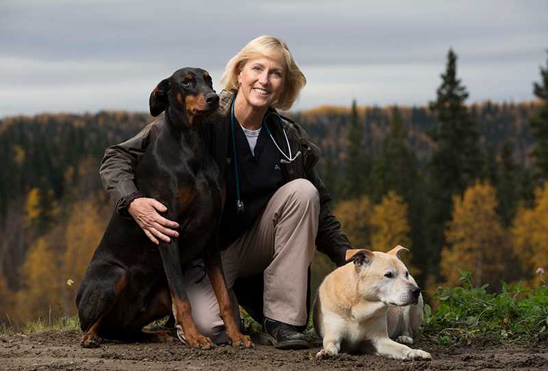 Serie Dra. Dee: veterinaria de Alaska