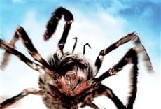 Escena de El ataque de las arañas