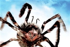 Escena de El ataque de las arañas