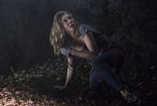 Escena de El bosque siniestro