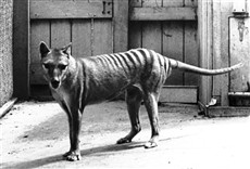 Escena de El efecto Lázaro