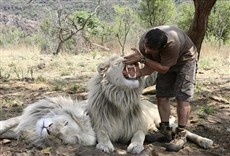 Escena de El encantador de leones