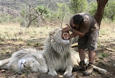 Escena de El encantador de leones