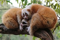 Escena de El lado salvaje de China