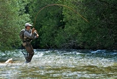 Escena de El pato TV