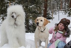 Escena de The Dog Who Saved Christmas Vacation