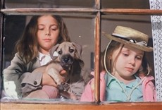 Escena de Chestnut: El héroe de Central Park