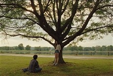 Escena de El sacrificio de un ciervo sagrado