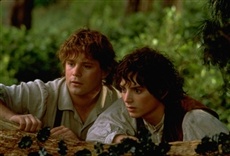 Escena de El señor de los anillos: La comunidad del anillo