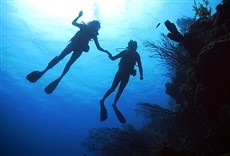 Escena de El tesoro del pirata del Caribe