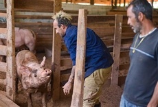 Escena de El zoo de Gui