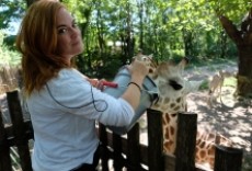 El zoológico del Bronx