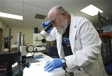 Escena de En busca del tesoro: Isla Serpientes