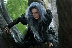 Escena de En el bosque