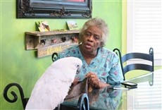 Escena de Entre animales