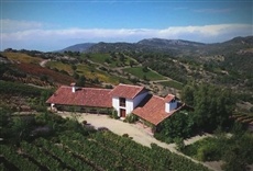 Escena de Entre viñas