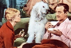 Escena de No os comáis las margaritas