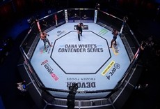 Escena de ESPN Knockout - UFC - Dana White Contender Series