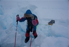 Escena de Expedición al Polo Norte