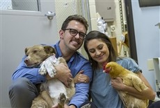 Serie Familia de veterinarios
