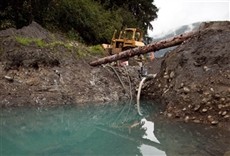 Escena de Fiebre del oro