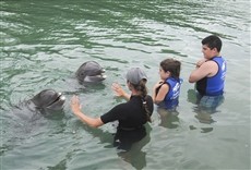 Escena de Fin de semana en Florida