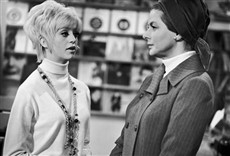 Escena de Flor de cactus