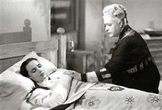 Escena de Flor silvestre