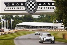 Escena de Goodwood Festival of Speed