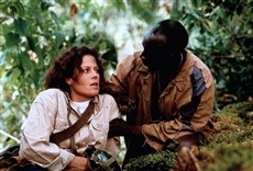 Película Gorilas en la niebla. La aventura de Dian Fossey