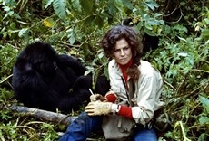 Escena de Gorilas en la niebla. La aventura de Dian Fossey