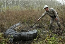 Escena de Guardianes de Texas