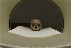 Escena de Guardianes del patrimonio