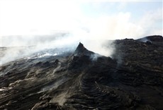 Escena de Hawaii salvaje