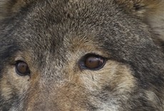 Escena de Hello World!