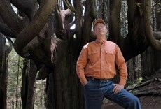 Escena de Hielo en llamas