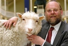 Escena de Historia reciente: Dolly, la oveja clon