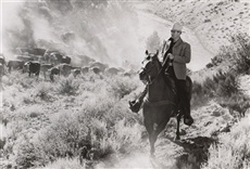 Escena de Algún día volveré