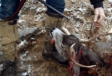 Escena de Hombres de la montaña - Especial