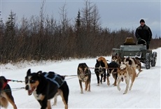 Escena de Hombres del ártico