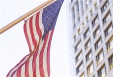 Escena de Homegrown: The Counter-Terror Dilemma