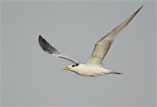 Escena de Islas salvajes