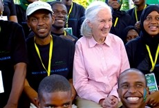 Escena de Jane: el legado