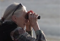 Escena de Jane & Payne